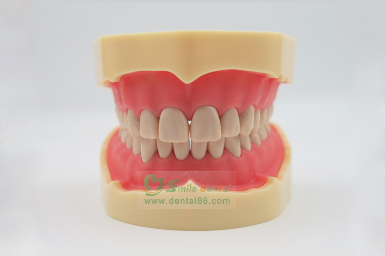 TM-A5-01 Standard Model, BF Style